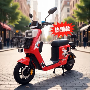 Small R11 Lithium Battery Electric Bicycle with Long Battery Life, Licensed Electric Scooter, Electric Motorcycle, Electric Vehicle with Reverse Gear