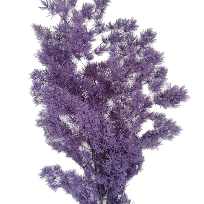 永遠のドライフラワー蓬莱松プリザーブドフラワー diy 花束手作り素材ギフト花素材結婚式ホームフラワーアレンジメント装飾|undefined