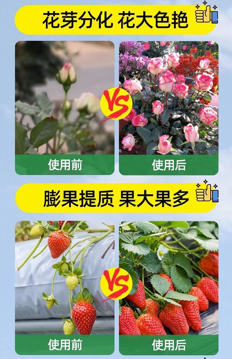 6b5e5cdc-291a-4103-a6bc-6caf104844d6.jpe