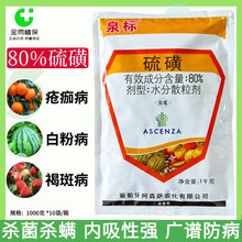 Ȫ��80%��ǚ��������ٯ��財�����S�ϰ׷۲��ְ߲��M���rș1000g