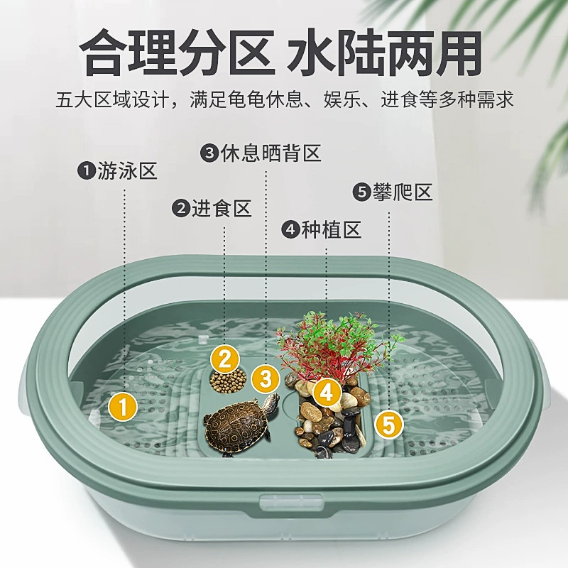Кормление черепах, выращивание пластиковых небольших рыбных резервуаров, резервуар черепахи, резервуар черепахи, резервуар для домашней черепахи, экологический резервуар, сушильный стол с виллами