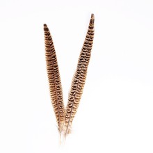 廠家直銷母山雞尾自然羽毛野雞尾10-35厘米野雞毛