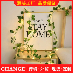 �羳led�����Շ������������ٗl�� ͥԺ���@�}�Q��Y�bʟ�����