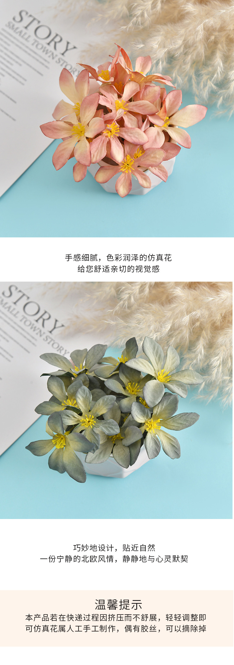 未标题-4本_07.jpg