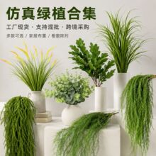 ɭϵ����Gֲ���º��s������ꐻ�c�û���Y�����廨���������b�