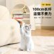 Explosive Cat Toy Year of the Snake Cat Toy Stick Elastic Mesh Tube Feather Ball Cat Interactive Toy Pet Supplies