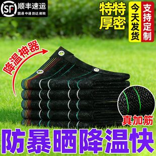 ��ꖾW�Ӻ���ܷ���W������ꖲ���ɫ����ڹ�̫ꖾW����̨���
