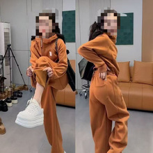 2026���ӽq���e�\���n�����b�̽��p����_���������ѝ���K�ɼ���