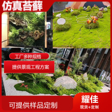 背景墙植物墙绿植微景观装饰枯枝青苔假草皮仿真椰丝曲丝植绒苔藓