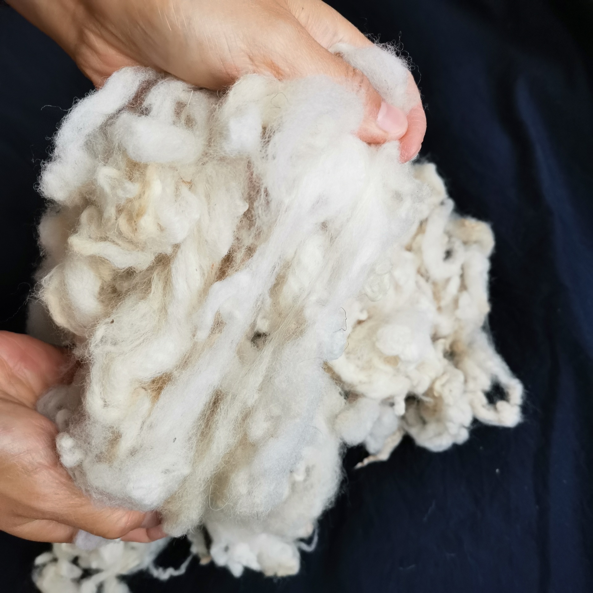 9740c8fb4dca43b7ed8f27f9bc28f3