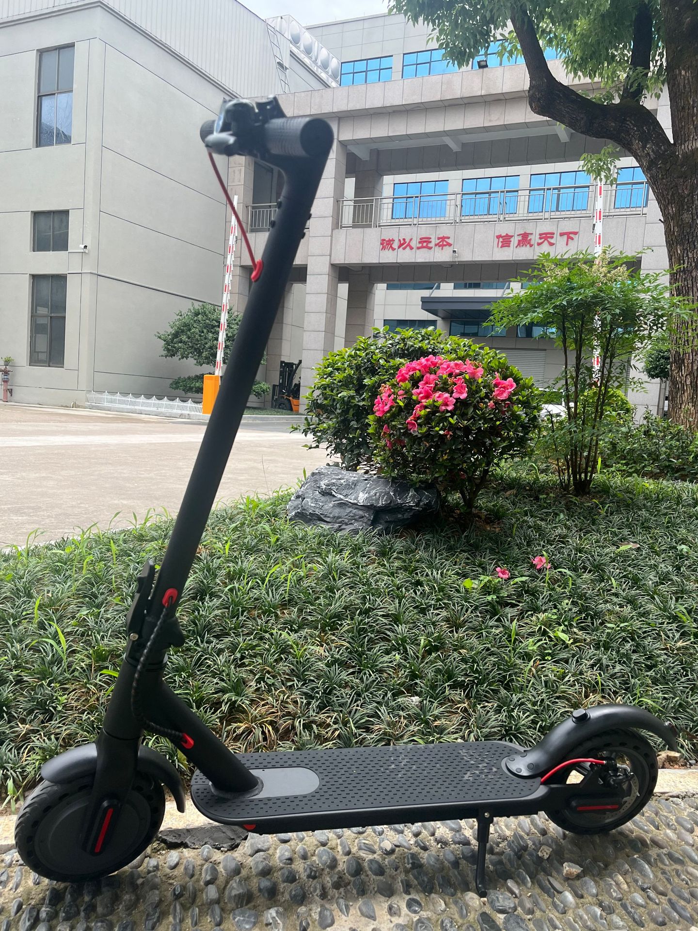 Foreign Trade Export 300W Off-Road Adult Electric Scooter 8.5-Inch Foldableing Scooter Two-Wheeled Electric Scooter