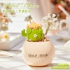 Nectar Words-Cactus