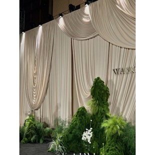 Champagne Milk Silk Wedding Stretch Fabric Korean Cream Style Ceiling Hanging Cloth Wedding Gauze Background Cloth Decorative Curtain