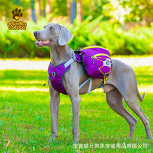 狗狗自背包大型犬金毛书包外出便携宠物狗背包牵引绳大狗背包批发