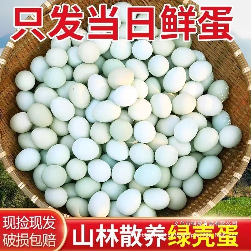 批发价50枚乌鸡蛋绿壳新鲜现捡现发正宗土鸡蛋自笨鸡蛋柴鸡蛋