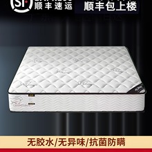 |ܛӲʮ20cmzҬؼⷿɴ|