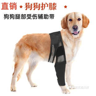 �S�ҵ�-�����ȱ��o��ǰ����֧���o���������oϥ�������܂����o��