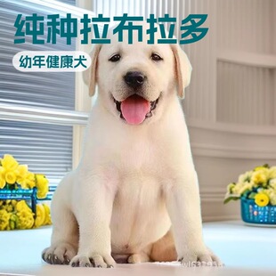 ������������Ѳ��Ȯ���N���o�lȮ����Ȯ������Ȯ���w�Ѿ�Ȯ܊��Ȯ