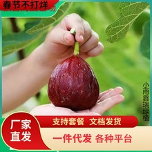 һ�����l�o��������粨���t�����Ե��԰��������ϱ�������Y���o