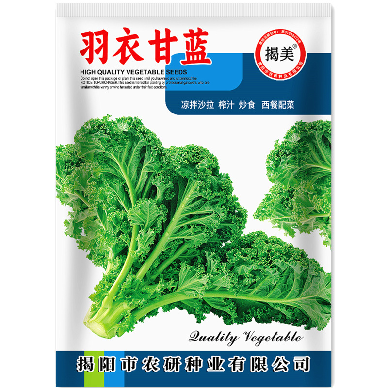 揭美羽衣甘蓝种子 食用皱叶羽衣甘蓝 阳台盆栽易种蔬菜种子200粒