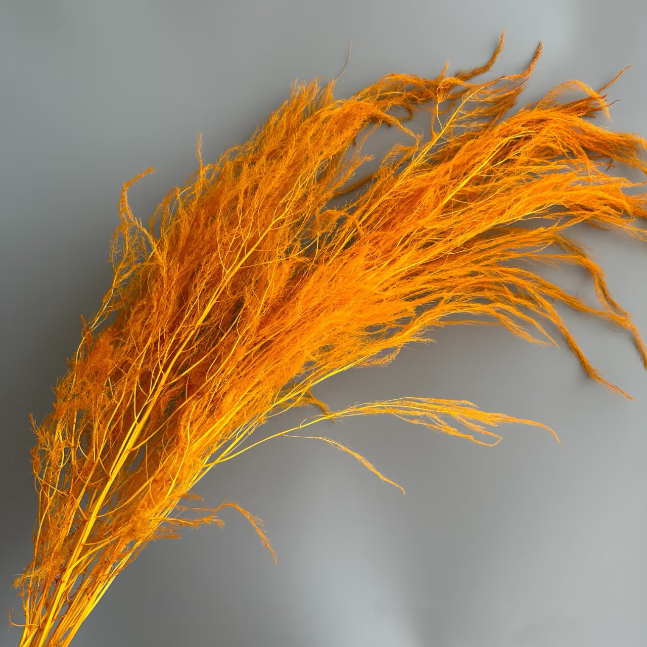 Florista sueña material floral suave decoración de bodas hierba de pelo seco flores eternas multicolores al por mayor