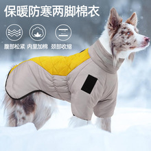 新款冬天宠物衣服反光保暖大型犬棉服两脚狗衣服加厚狗狗衣服批发