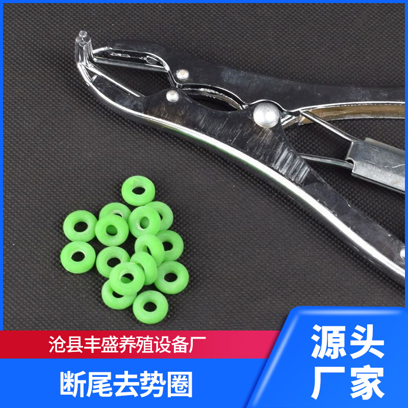 羊羔断尾钳断尾器羊断尾圈断尾皮筋去势圈羔羊断尾钳子小羊断尾器
