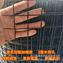 ��ɫӲ���F�z�W���ڵ���bW���@���@�ˈ@���W�Bֳ�Wһ�����l