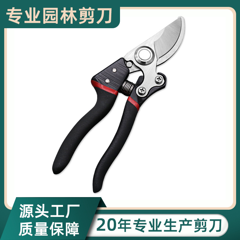 黑色不锈钢修枝剪鸟嘴果树园艺剪刀园林绿化修枝树枝剪刀厂家直销