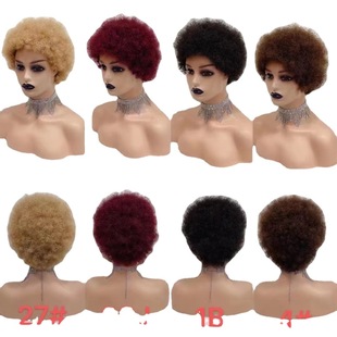 Factory straight hair cross-border for Africa full-mechanism headgear Afro wig curly hair wig human hair