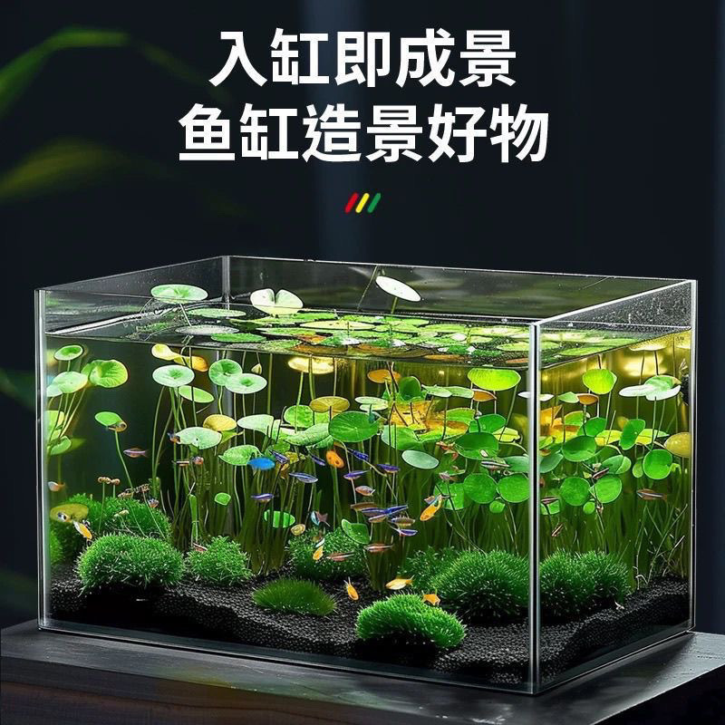 6d9af087-1a2c-4e00-89af-e40320531f5f.jpe