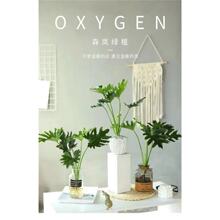 ����������С��ʹ�Gֲ���~�҃Ȼ��ܺ��B������ˮ��Gֲ