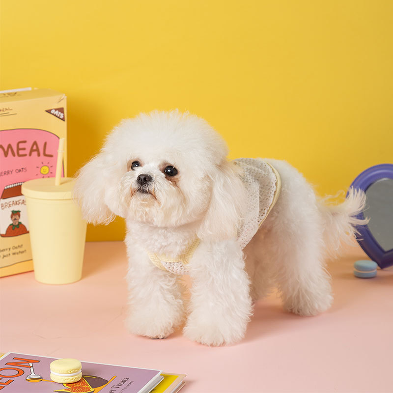 Chaleco hueco de dos patas primavera y verano ropa de perro amor arco eslingas Teddy Bear ropa de mascotas