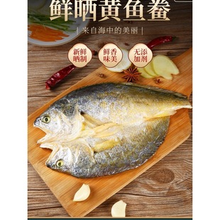 �����خa�|���S�~�����r������~�S���~���S�~���r��؛�S�~��