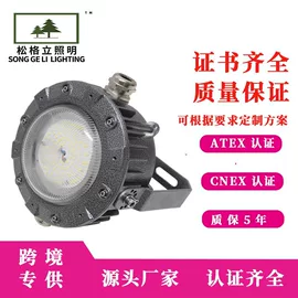 防爆灯;道路照明灯;其他室内灯具