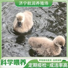 �˹���B���^�^�p�����Z���w���l Ó�غ����Z����w���l�N������