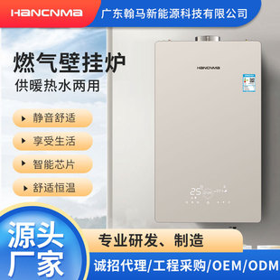 Natural Gas Heating Stove Heating Hot Water Dual-Purpose Vertical Household Wall-Mounted Boiler Wholesale Gas Wall-Mounted Boiler