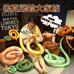 �羳���l������ë�q������������ː�����߹�����Ф�߶Y�ﻨ����