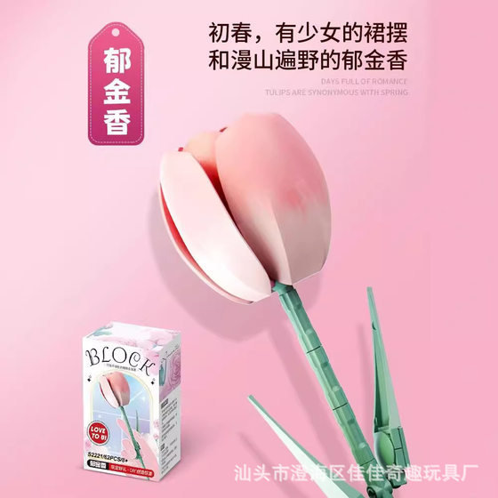 Feimi Building Blocks Teacher's Day Bouquet Small Particle Building Blocks DIY Assembled Indoor Toys Valentine's Day Gift Wholesale