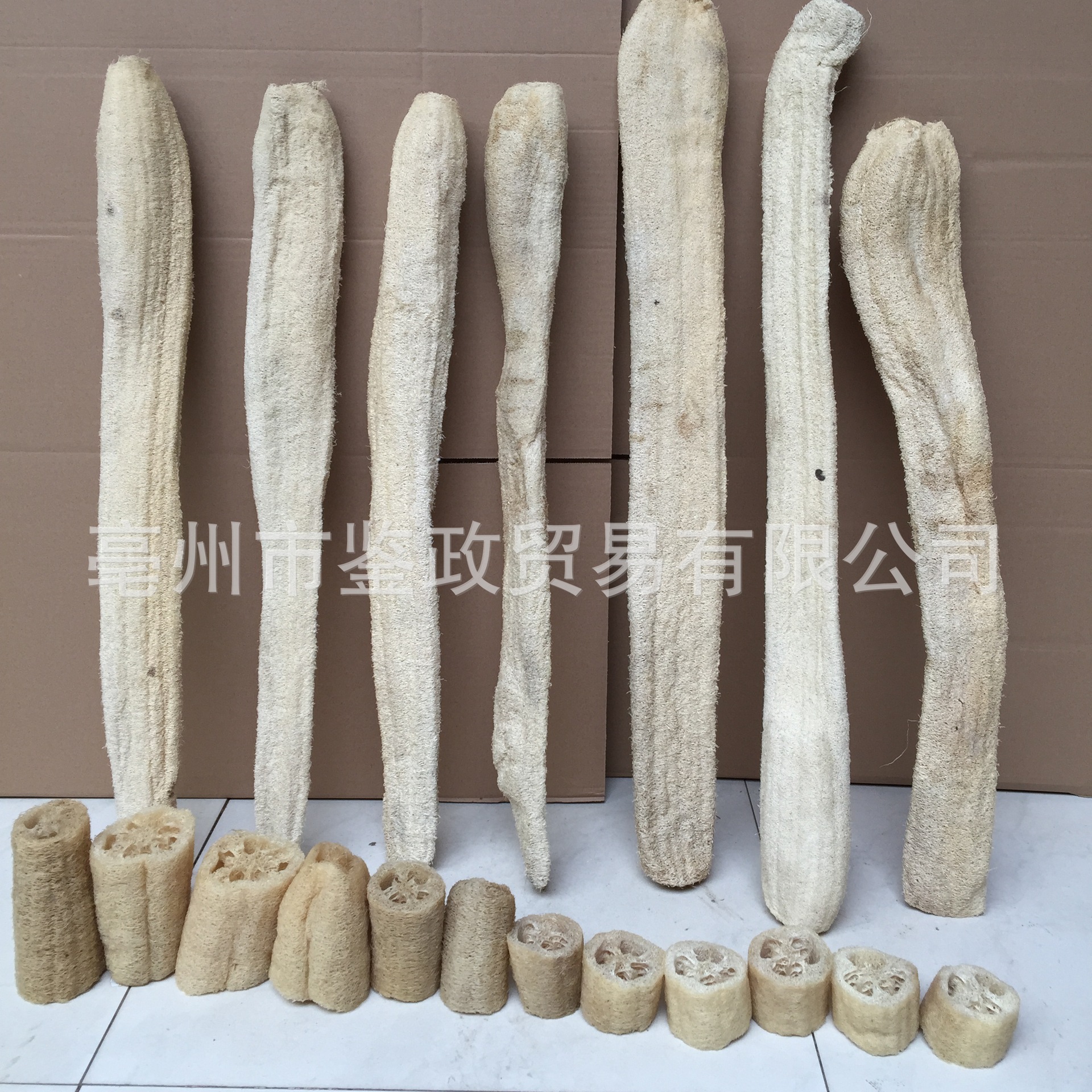 Loofah Sponge Gourd Fiber Si Gua Luo 500g Whole Dried Natural Body Scrub Dish Brush Pet Toy specifications