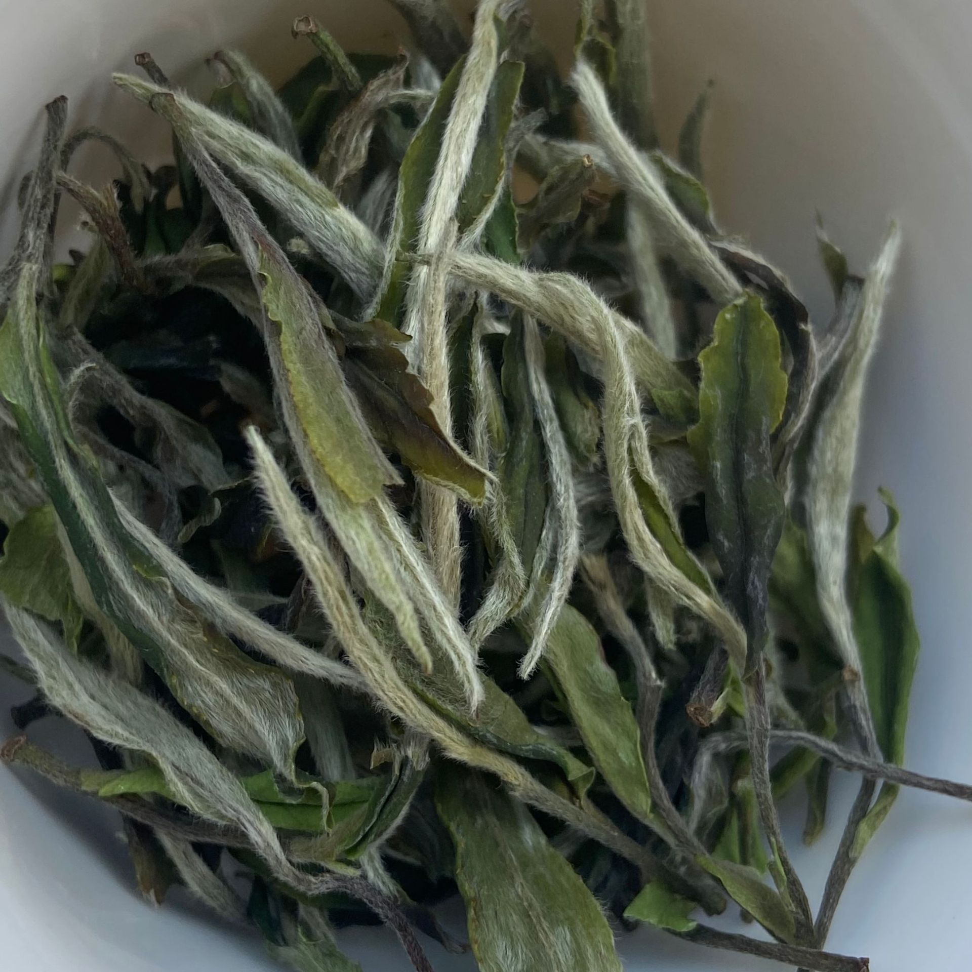 f45f458d098f9638167423b08362b4