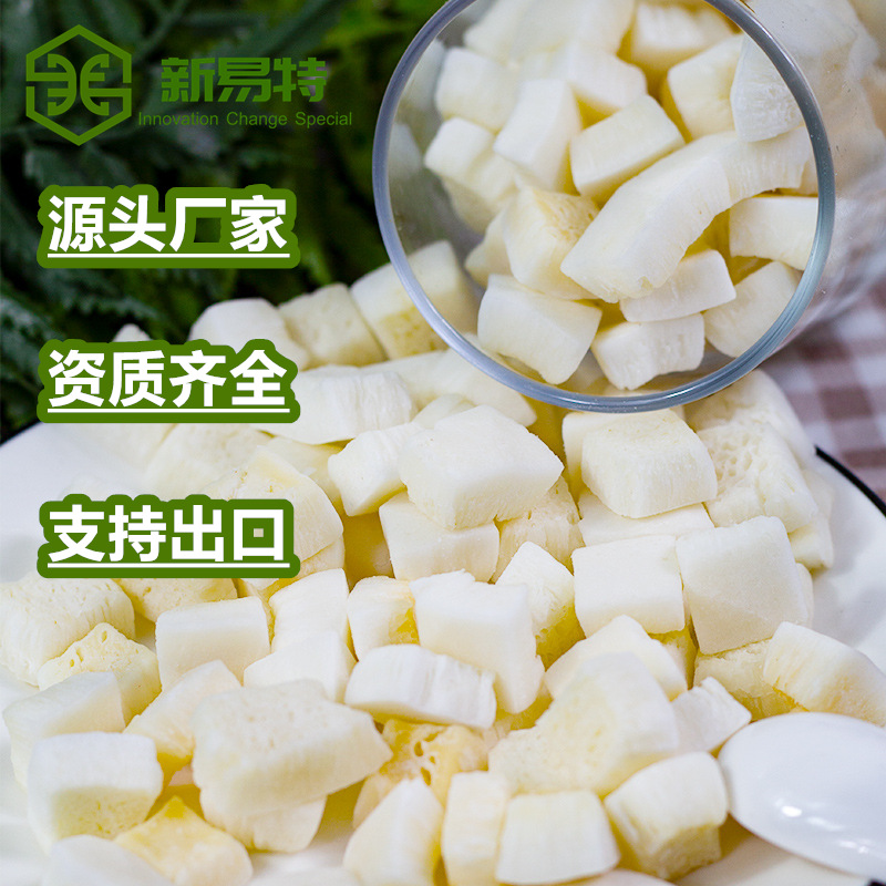 源头厂家供应香烤椰子块酥脆烤椰子干椰子丁热带水果干休闲零食