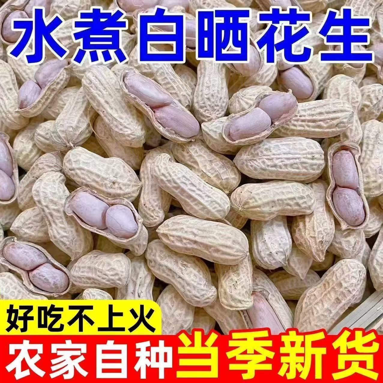 (全网低价)25水煮花生批发新鲜龙岩正宗特产白晒干咸干零食带壳