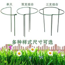 &otimes;��֧�μ��̨�������������֧�ι̶���A֧�ΗU����ֲ�ﻨ�軨