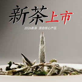 白茶;红茶;乌龙茶