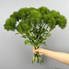 仿真绿石竹 家居商场样板间假花插花陈列手感软胶绿毛球手感石竹