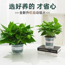 �k���ҾGֲ�G�}�����҃Ⱥ��B�͏d�������L�ٴ���G�j���l���״��l