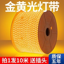 100�׽��S��led�􎧗l�����������^���������ˮ220V�����b����l