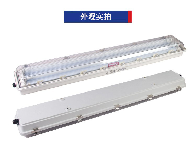 GCY6010防爆灯GCY6010-2×28双管应急防爆荧光灯吊链吸顶吊杆壁式-阿里巴巴