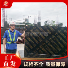 ĤSl ܌Ⱥ D8 _z ÓĤ